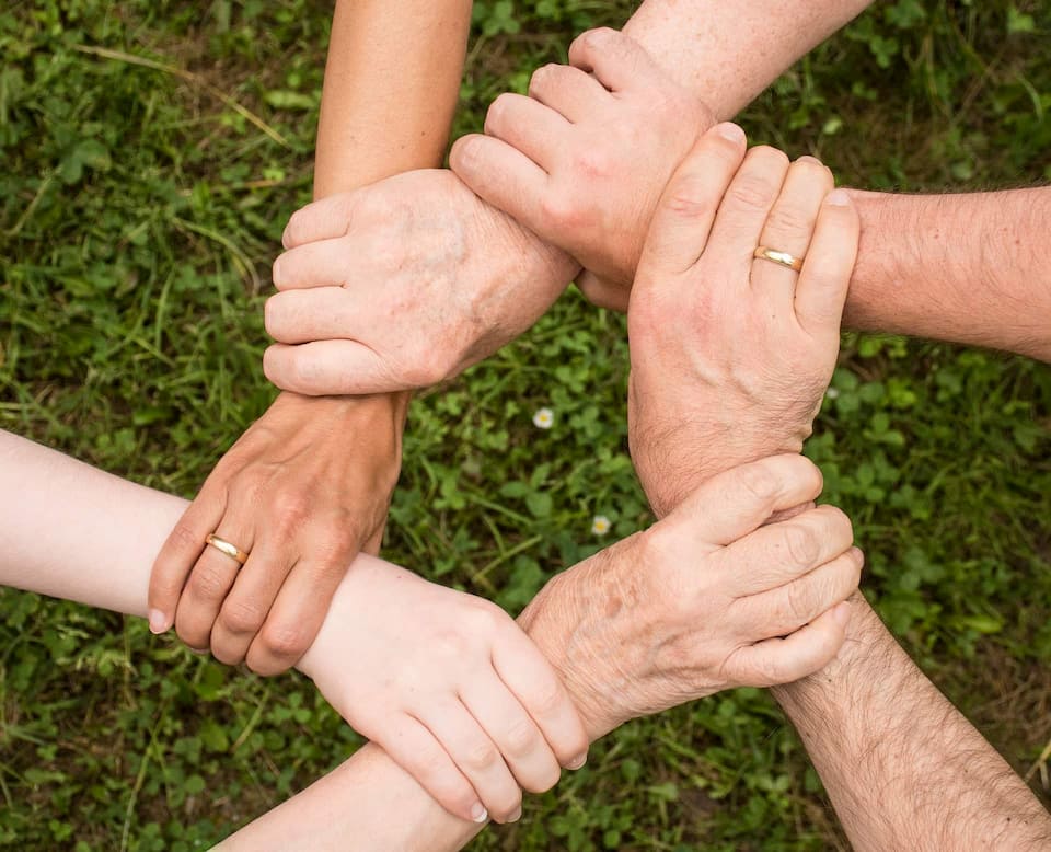 image of company team